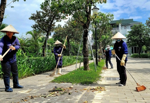 Ecogarden sạch – xanh tươi sau ngày mưa lũ.